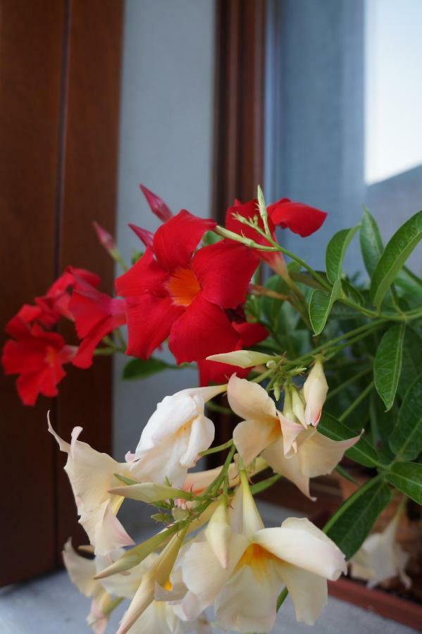 La Brigata Apartments Suite Room Cavallino-Treporti Bagian luar foto